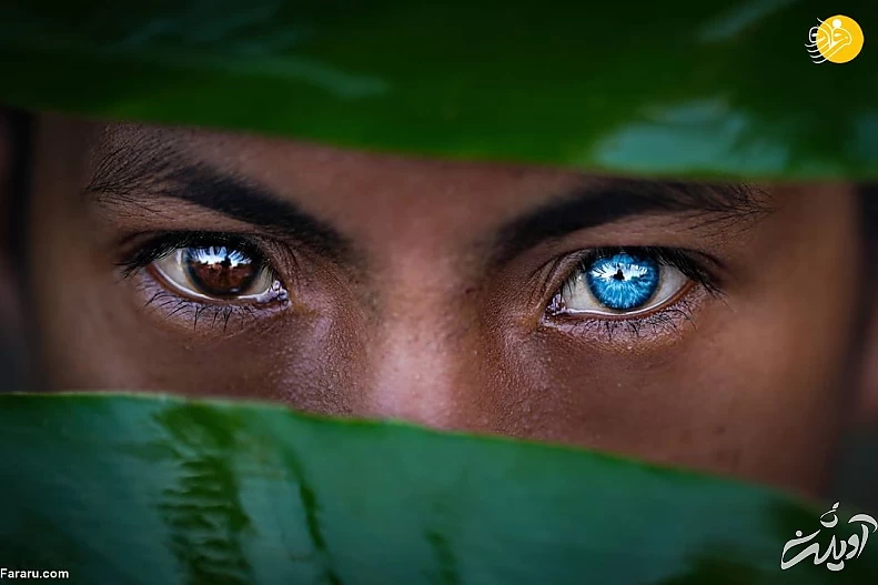 (تصاویر) (تصاویر)